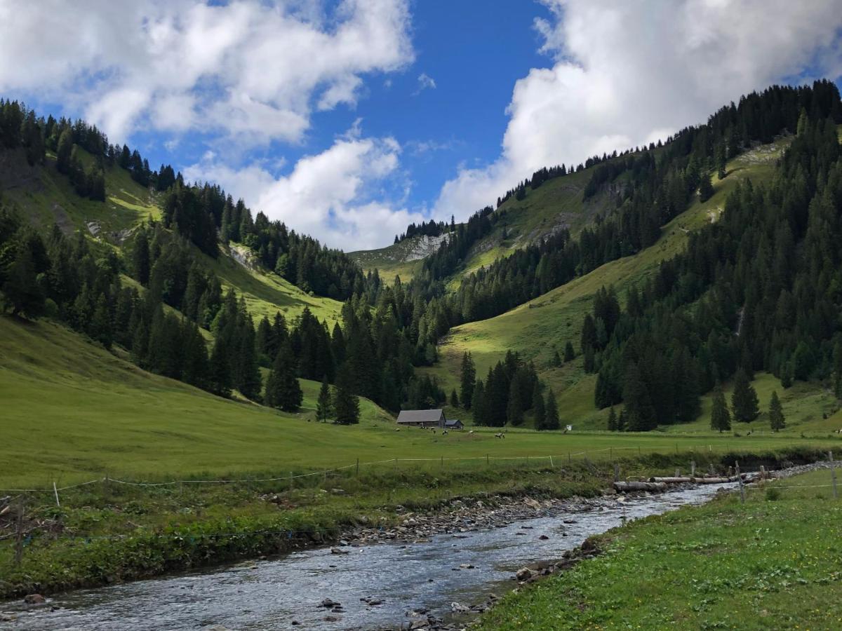 Walli Laterns - Ski Und Bergvergnuegen Direkt Vor Der Haustuer Bagian luar foto